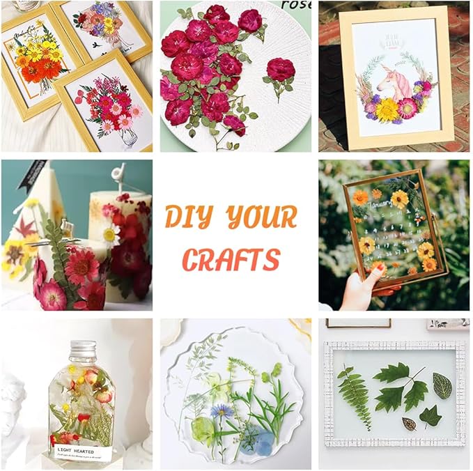 50 Pcs Rainbow-Colored Dried Pressed Flowers for Resin, Natural Dried Flowers Leaves, Real Herbs Kit for Scrapbooking DIY Art Crafts, Epoxy Jewelry, Candle, Soap Making, Nails Decor