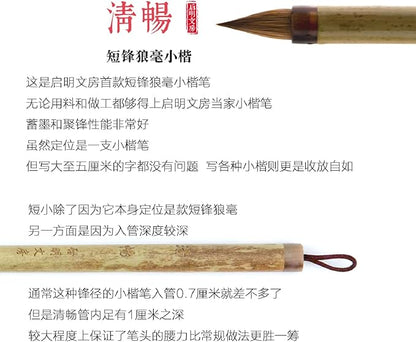 QingChang Chinese Calligraphy Brush Set - Sumi Ink Brush Pens for Small Regular, Running & Cursive Script, Japanese Kanji - 1pc