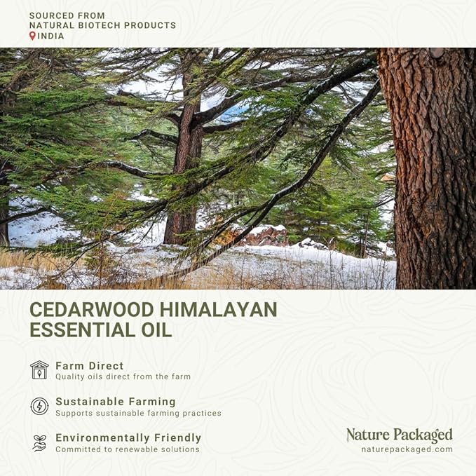 Nature Packaged Cedarwood Himalayan Essential Oil - 100% Pure Steam Distilled Natural Cedarwood Himalayan Oil (Aceite de Cedro) from Natural Biotech NBT India for Aromatherapy & DIY Projects - 8oz