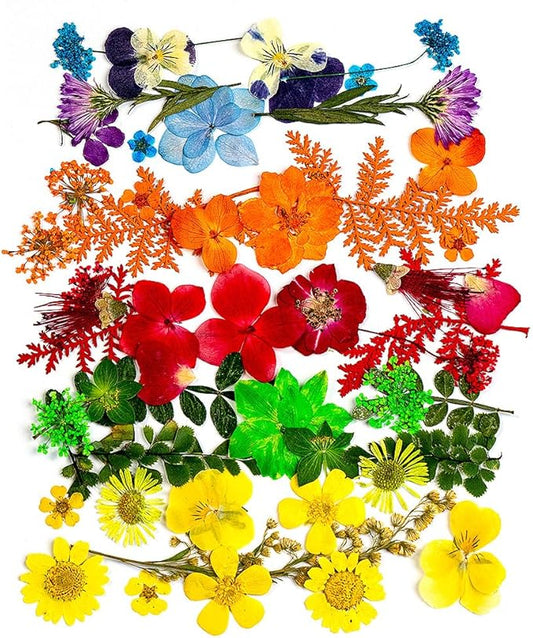 50 Pcs Rainbow-Colored Dried Pressed Flowers for Resin, Natural Dried Flowers Leaves, Real Herbs Kit for Scrapbooking DIY Art Crafts, Epoxy Jewelry, Candle, Soap Making, Nails Decor
