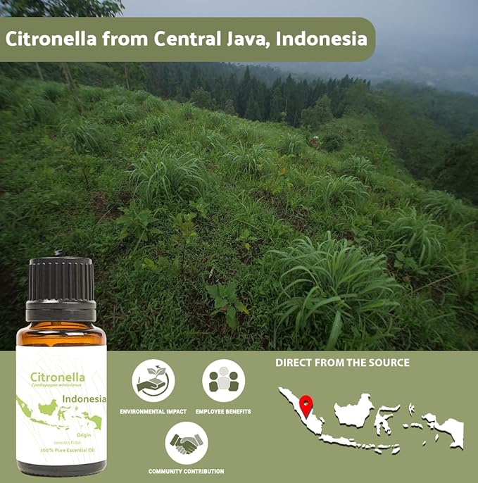 Nature Packaged Citronella Essential Oil - Direct from Central Java, Indonesia - Pure Essential Oil for Diffusers and Aromatherapy | 100% Pure Therapeutic Grade (22LBS)