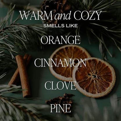 Sweet Water Decor Warm and Cozy Reed Diffuser Set - Fall and Winter Reed Diffuser Set for Home - Orange, Cinnamon, Ginger, Clove Scented Room Fragrance - Lasts 4+ Months, Made in The USA