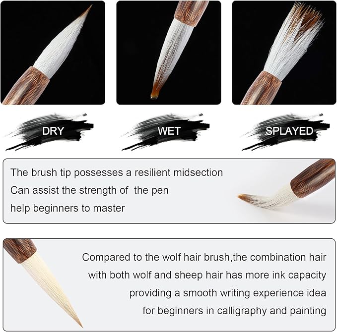 Corciosy 12 Pieces Chinese Calligraphy Brush Set - Premium Painting Writing Watercolor Sumi Brushes Set Kanji Japanese Drawing Art Brushes with Roll-up Brush Holder,Gift for Christams and New Year