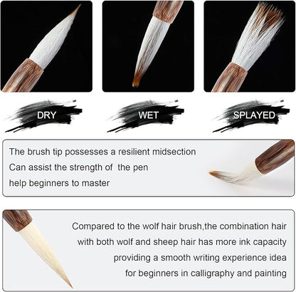 Corciosy 12 Pieces Chinese Calligraphy Brush Set - Premium Painting Writing Watercolor Sumi Brushes Set Kanji Japanese Drawing Art Brushes with Roll-up Brush Holder,Gift for Christams and New Year