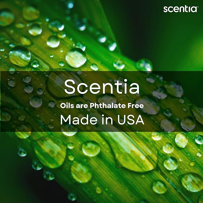 Scentia Santal Diffuser Oil 500ml – Luxury Santal-Inspired Oil – Cedarwood, Amber, Musk, Vanilla – Essential Oil Blend for Large Rooms, Cold-Air Diffusers, HVAC & Ultrasonic, Thanksgiving Gift