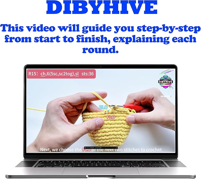DIBYHIVE Crochet Kit for Beginners,Complete Video Tutorials,6Inches Chick Crochet Kit,Includes Explanations of Basic Crochet Stitches
