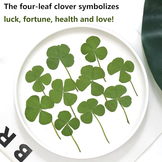 48 Pcs Mix Lucky Clover Natural Dried Pressed Flowers for Resin, Jewelry Making, Real Dry Flower for Cake Decorating , DIY Art Crafts - Four Leaf Clover