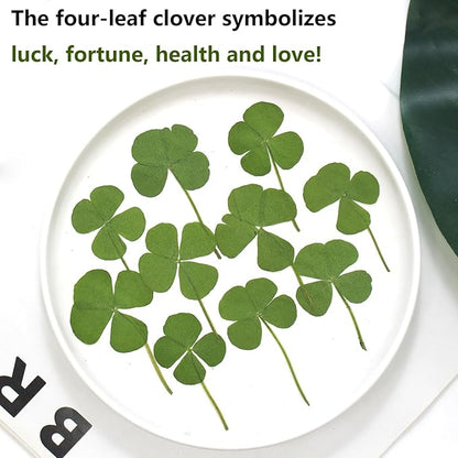 48 Pcs Mix Lucky Clover Natural Dried Pressed Flowers for Resin, Jewelry Making, Real Dry Flower for Cake Decorating , DIY Art Crafts - Four Leaf Clover