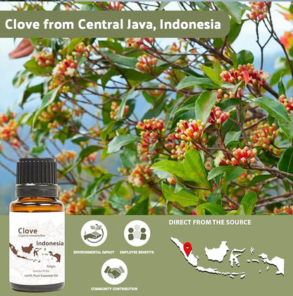 Nature Packaged Clove Essential Oil - 100% Pure Steam Distilled Natural Aceite de Clavo from Indonesia for Aromatherapy & Wellness - Premium Grade (8oz)