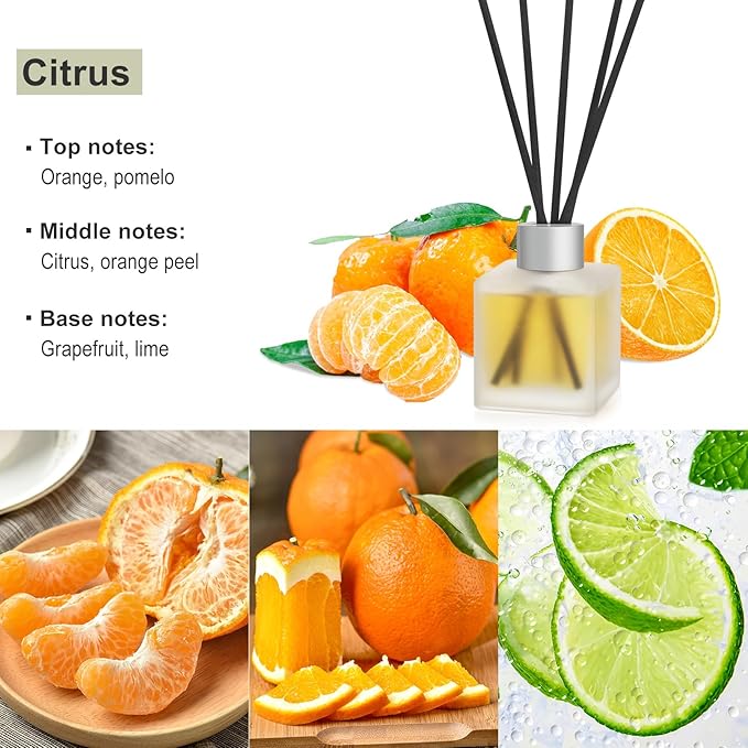 Aeeteek Reed Diffuser, Citrus & Orange Scented Oils Home Fragrance, 3.4fl oz(100ml) Long Lasting Fruity Air Freshener, Essential Oil for Bathroom Guest Room Decor (2 Pack)
