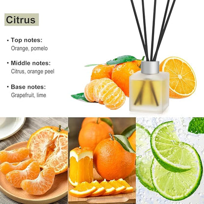 Aeeteek Reed Diffuser, Citrus & Orange Scented Oils Home Fragrance, 3.4fl oz(100ml) Long Lasting Fruity Air Freshener, Essential Oil for Bathroom Guest Room Decor (1-Pack)