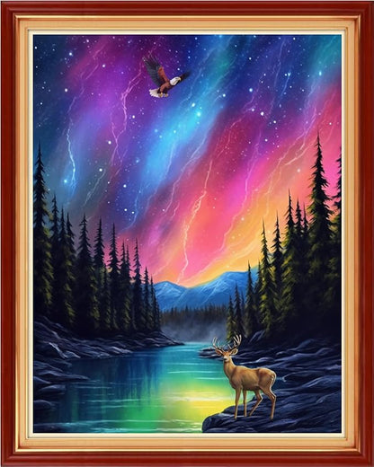 Foxhool Stamped Cross Stitch Kits,11CT Printed Cross Stitch Pattern Full Embroidery Kits for Beginner Needlepoint Kits-Northern Lights Scenery 16x20 inchs
