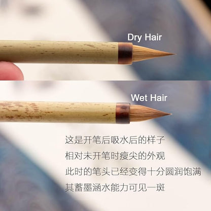 QingChang Chinese Calligraphy Brush Set - Sumi Ink Brush Pens for Small Regular, Running & Cursive Script, Japanese Kanji - 1pc