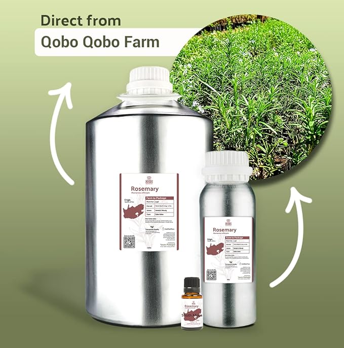 Nature Packaged Rosemary Essential Oil - Direct from Qobo Qobo South Africa - Steam Distilled - Aceite Esencial de Romero for Aromatherapy, Massage, Diffuser, DIY Candle and Soap Making - 15ml