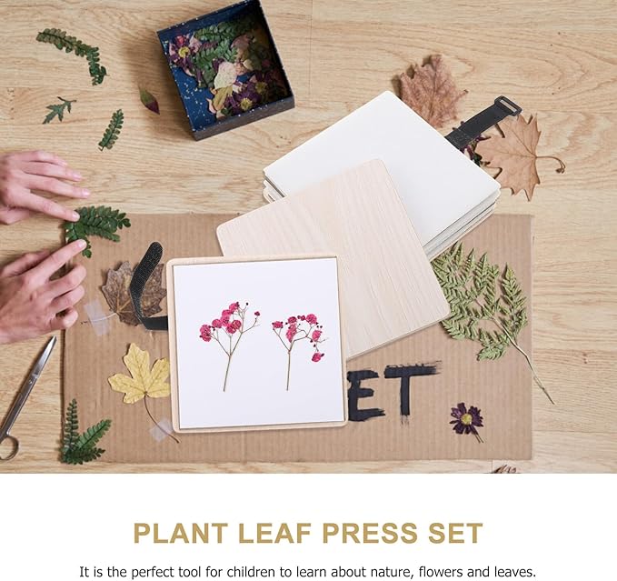 TOYANDONA Practical Flower Press Kit with Sponge for Even Pressure DIY Dried Flowers Leaves Fruit Specimen Making for Creative Crafts Handicrafts and Educational Activities