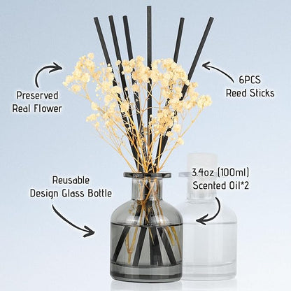 Brakula 2 Pack Reed Diffuser, Eucalyptus & Wild Mint+Lavender Vanilla (3.38 fl oz Each Pack), Home Fragrance with 12 Sticks, Shelf Decor, Reed diffusers for Home