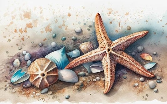 Moohue Stamped Cross Stitch Kits for Adults Skull 14CT Pre Printed Cross Stitch Kits for Beginners (Starfish and Shells 1)