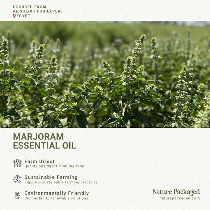 Nature Packaged Marjoram Essential Oil - Direct from Al Sheikh for Export Egypt - Steam Distilled - Aceite de Mejorana for Aromatherapy, Massage, Diffuser, DIY Candle and Soap Making - 2lbs