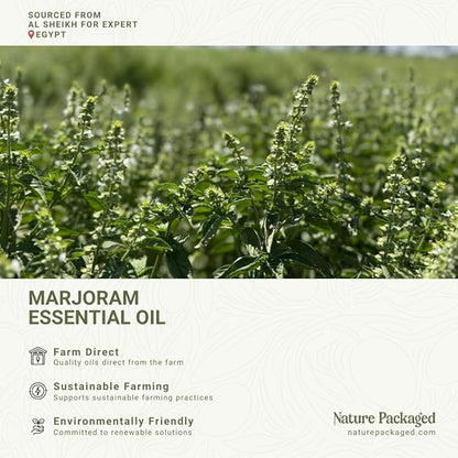 Nature Packaged Marjoram Essential Oil - Direct from Al Sheikh for Export Egypt - Steam Distilled - Aceite de Mejorana for Aromatherapy, Massage, Diffuser, DIY Candle and Soap Making - 22lbs