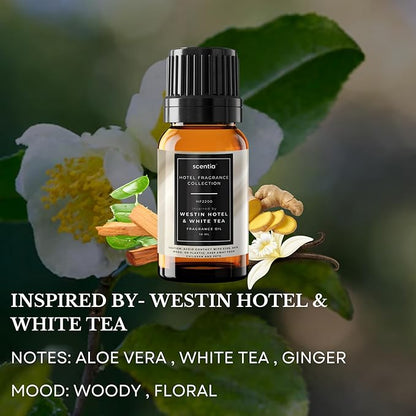Scentia Hotel Diffuser Oil Gift Set – 10 mL, 0.34 fl oz | Inspired by 5-Star Hotels Baccarat NYC, Scentia My Way & Delano Scents | Luxury Aroma Diffusers - Thanksgiving & Holiday Gift