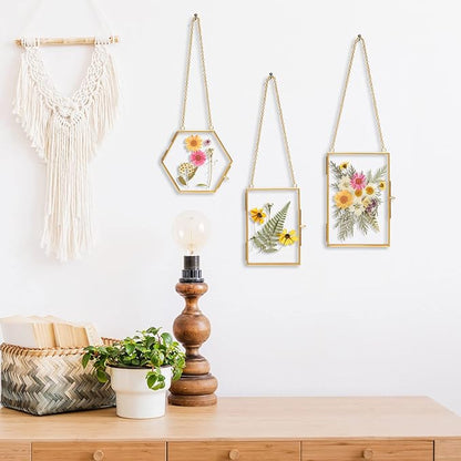 Relaxing Garden Pressed Flower Craft Kit for Adults & Women, DIY Floating Double Glass Frame Kit with Real Dried Flowers, Handmade Gift Art Project for Home Décor, Keepsake & Creative Crafts