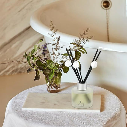 Brakula 2 Pack Reed Diffuser Set, Bamboo Scented, Home Fragrance with 14 Sticks Bathroom Decor, Reed diffusers for Home 6.76 fl oz (Bamboo)