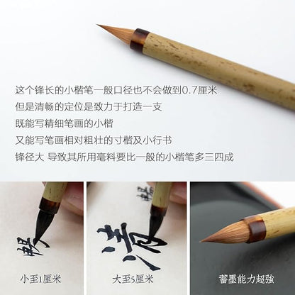 QingChang Chinese Calligraphy Brush Set - Sumi Ink Brush Pens for Small Regular, Running & Cursive Script, Japanese Kanji - 1pc