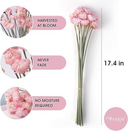 Dried Flower 30PCS Daisy Bouquet Preserved Chrysanthemum Dry Flower for Vase Home décor Party DIY Arrangement Wheat Straw Bulk (Light Pink)