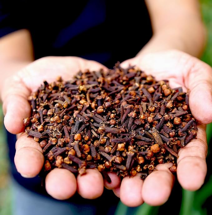 Nature Packaged 100% Pure Clove Essential Oils - Direct from Indonesian Essential Oils - Essential Oil for Diffusers Aromatherapy & Humidifiers (15ml) | Natural Cold-Pressed