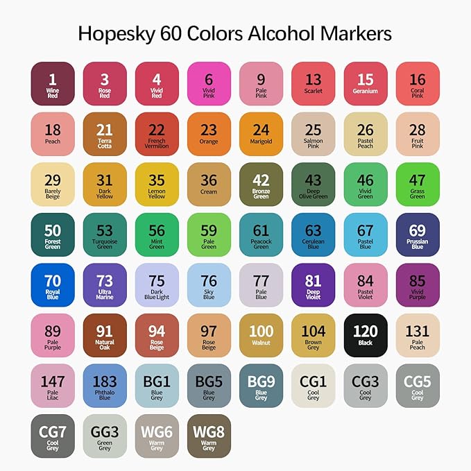 Hopesky 60 Colors Alcohol Markers - Dual Tip Permanent Art Markers Set for Coloring Drawing Painting, Fine and Chisel Tip Alcohol Based Pens with Storage Case for Adult Artists