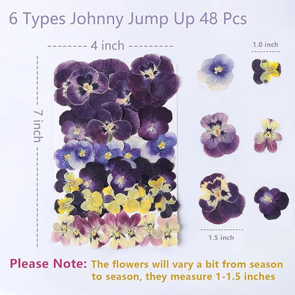 48 Pcs Mix Natural Dried Pressed Flowers for Cake Decorating, Real Dry Flower for Resin Jewelry Making, DIY Art Crafts - Johnny Jump Up