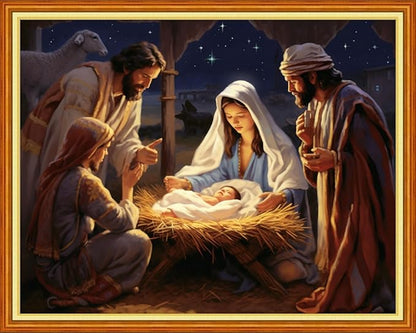 Dimensean Stamped Cross Stitch Kits Full Range of Embroidery Patterns Starter Kits for Beginners Adult DIY Cross Stitches Needlepoint Kits 11CT-Nativity 16x20 inch