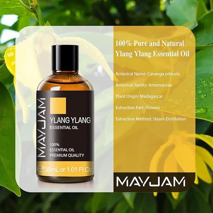 MAYJAM Ylang Ylang Essential Oil with Glass Dropper, MAYJAM 1.01fl.oz Ylang Ylang Oil Essential Oils for Diffusers, Humidifier, Yoga, Soap Candle Making