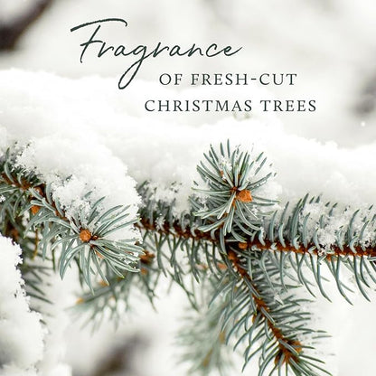 Thymes Frasier Fir Reed Diffuser Set – Includes Reeds, Fragrance Oil, and Frosted Glass Bottle – Fragrance Oil Diffuser – Room Fresheners – Luxury Home Decor – Gold (Gilded, 4 fl oz)