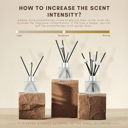 Brakula 2 Pack Reed Diffuser Set, Black Forest Scented, Home Fragrance with 14 Sticks Bathroom Decor, Reed diffusers for Home 6.76 fl oz(Black Forest)