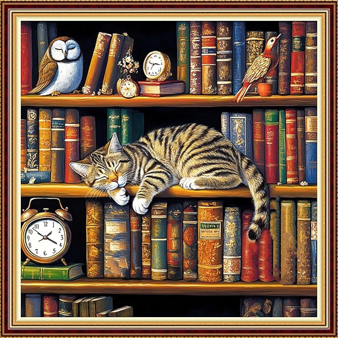 Funart Stamped Cross Stitch Kits for Beginners Full Range of Cross Stitching Preprinted Embroidery Kits for Adults, 11CT Embroidery Pattern Needlepoint Kits-Sleeping cat on Bookshelf 18x18 inch