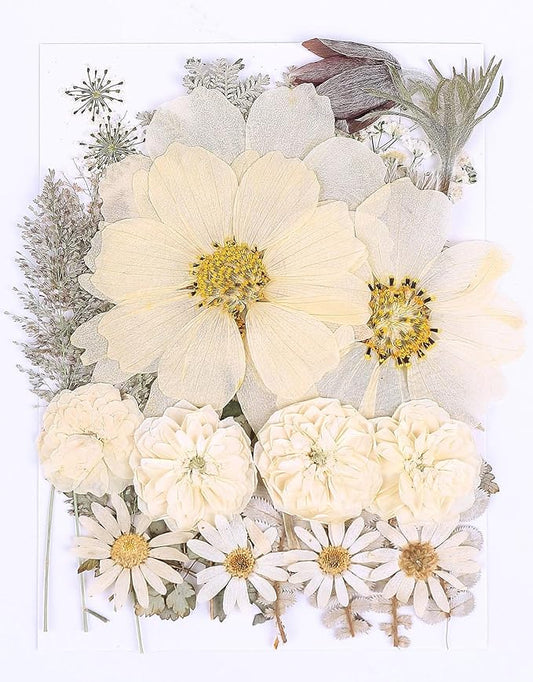 48PCS White Large Real Dried Pressed Flowers Leaves Natural Plant Herbarium for DIY Resin Mold Jewelry Making Craft (12 Styles)