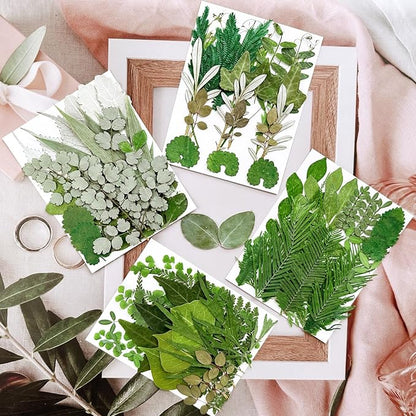 84Pcs Pressed Dried Leaves for Resin Molds, Assorted Real Natural Bulk Dry Flowers for DIY Art Crafts, Epoxy Jewelry, Candle, Soap Making, Nails Decors Gifts