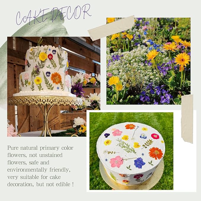 48 Pcs Mix Natural Dried Pressed Flowers for Cake Decorating, Real Dry Flower for Resin Jewelry Making, DIY Art Crafts - Muticolor