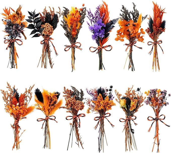 10/12/24/36 Pack Mini Dried Flowers for Vase Wedding Various Mini Bouquet Dried Small Wildflowers Natural Flowers Bulk for Crafts DIY Decor (12, Orange Black 1)