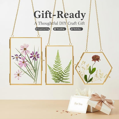 Relaxing Garden Pressed Flower Craft Kit for Adults & Women, DIY Floating Double Glass Frame Kit with Real Dried Flowers, Handmade Gift Art Project for Home Décor, Keepsake & Creative Crafts
