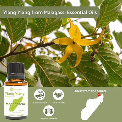 Nature Packaged Ylang Ylang Essential Oil - Direct from Malagassi Essential Oils Madagascar - Steam Distilled - Aceite de Ylang Ylang for Aromatherapy, Diffuser, DIY Candle and Soap Making - 8oz