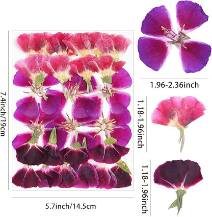 3Types 26Pcs Dried Pressed Flowers for Crafts,Xinxinran Edible Flowers for Cake Decorations,Resin Molds,Bookmark,Jewelry Molds,Candle Making Supplies,Soap,Frame (Clarkia Amoena)