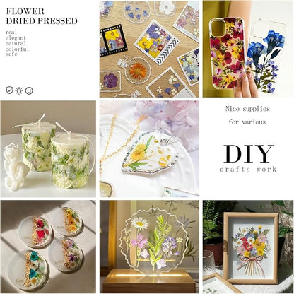 182Pcs Dried Pressed Flowers for Resin Molds, Assorted Real Natural Bulk Dry Floral Leaves for DIY Art Crafts, Epoxy Jewelry, Candle, Soap Making, Nails Decors Gifts