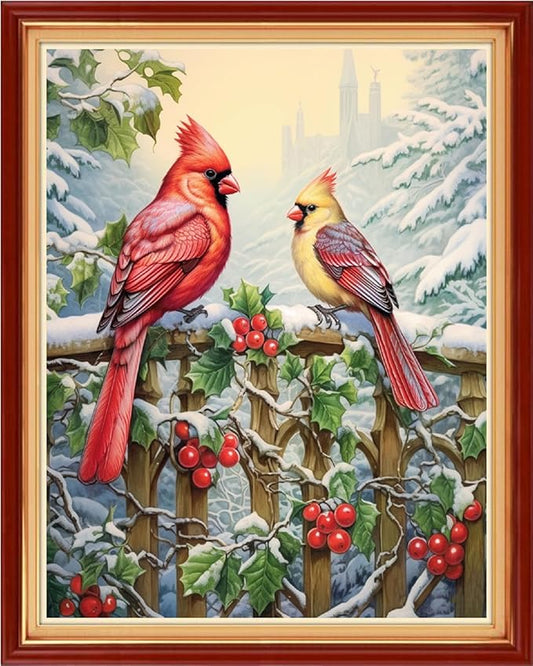 Dimensean Stamped Cross Stitch Kits Full Range of Embroidery Patterns Starter Kits for Beginners Adult DIY Cross Stitches Needlepoint Kits 11CT-Snowy Birds 16x20 inch