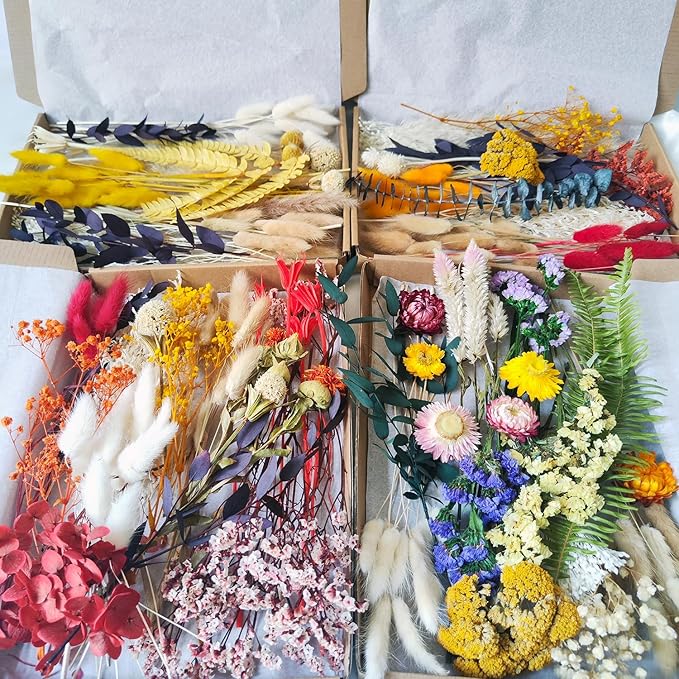 DIY Natural Dried Flowers Kit for Crafts - Box of Dried Flower Kit Perfect for Home Decor, Wedding Decor, DIY Wreath & Bouquet, Resin, Scrapbooking, Floral Arrangement, Handcraft (Multi-Color)
