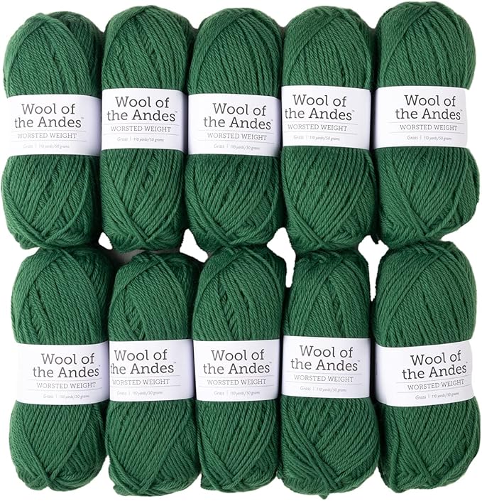 Knit Picks Wool of The Andes Yarn Pack - 10 Skeins of Green 100% Wool Worsted Weight Yarn (Grass)