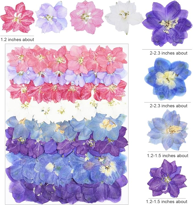 48Pcs Lankspur Dried Pressed Flowers for Crafts,Xinxinran Dry Edible Flower for Cake Decorating,Resin Molds,Bookmark,Jewelry Molds,Candle Making Supplies,Soap,Frame(8 Color)