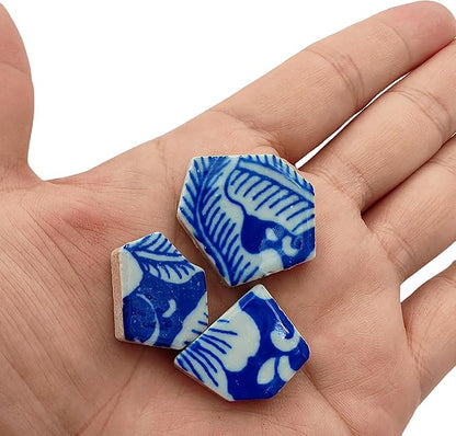 1.1 LB Porcelain Ceramic Mosaic Tiles,Broken Irregular Mosaic Tiles for DIY Craft Floor,Kitchen,Pool, Flower Pots Mosaic Making Supplies (Porcelain 08)