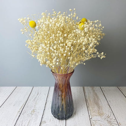 L'BREVOGA Baby's Breath Bulk with Billy Button, 16 inches Preserved Baby's Breath for Floral Arrangments Home Wedding Decoration (Gypsophila White)